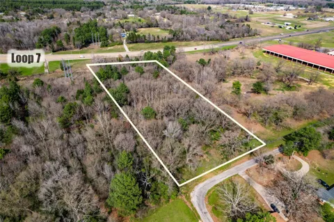 Sandbog