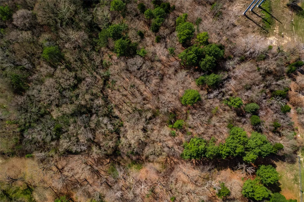 Sandbog Athens, TX 75751