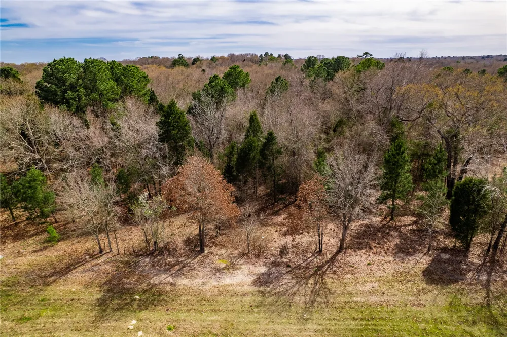 Sandbog Athens, TX 75751
