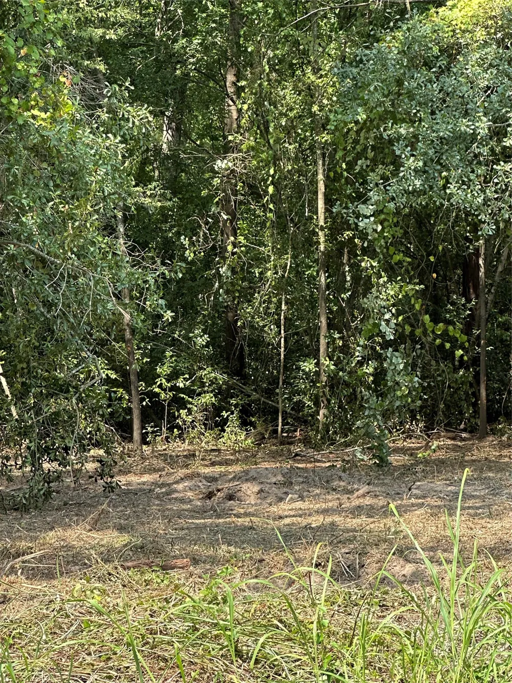 Sandbog Athens, TX 75751