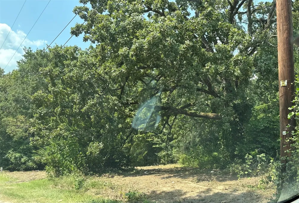 Sandbog Athens, TX 75751