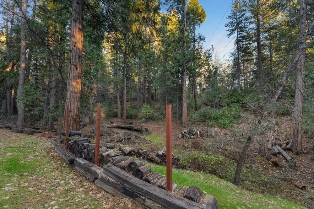 5841 Fallen Oak TRL Pollock Pines, CA 95726