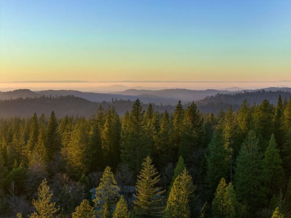 5841 Fallen Oak TRL Pollock Pines, CA 95726