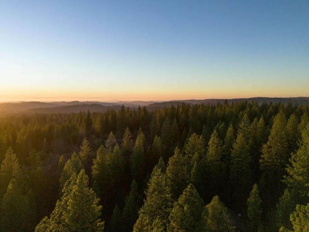 5841 Fallen Oak TRL Pollock Pines, CA 95726
