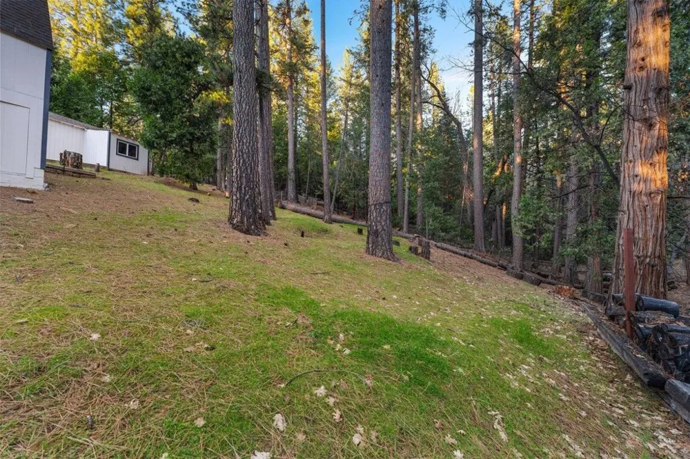 5841 Fallen Oak TRL Pollock Pines, CA 95726