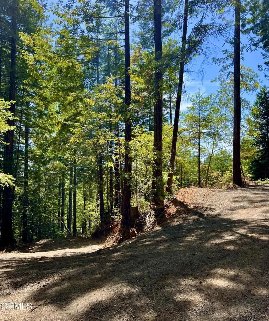 40401 Little River-Airport Road Little River, CA 95456