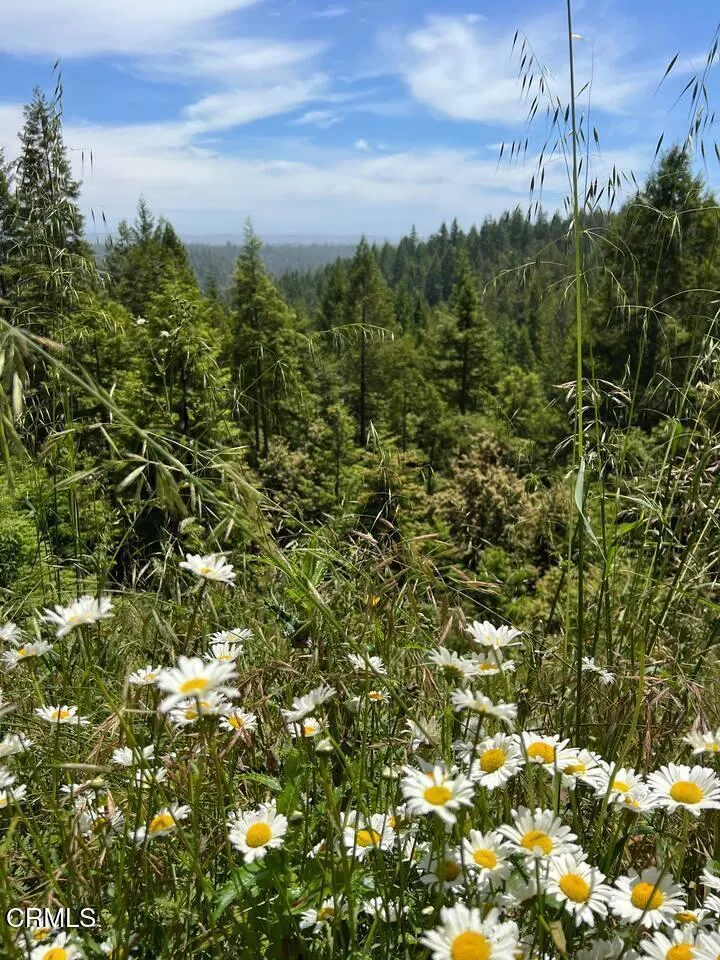 40401 Little River-Airport Road Little River, CA 95456