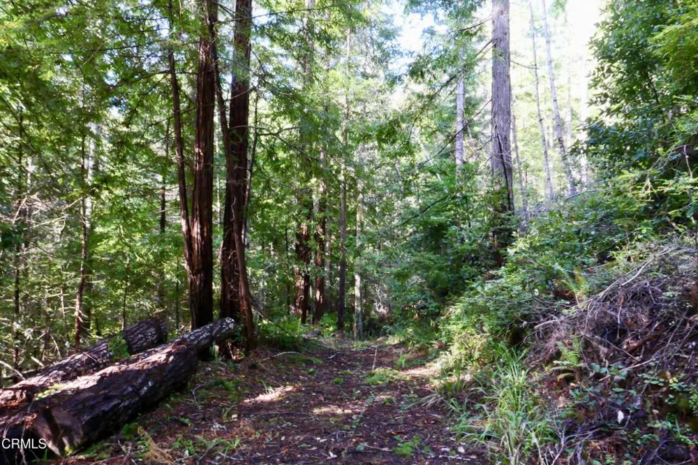 40401 Little River-Airport Road Little River, CA 95456