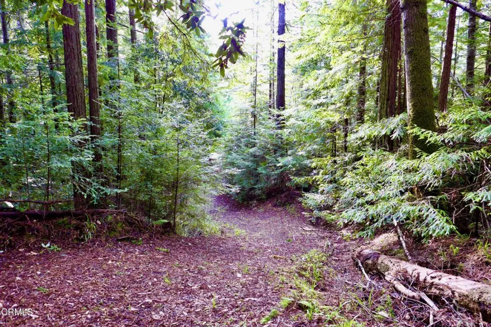 40401 Little River-Airport Road Little River, CA 95456