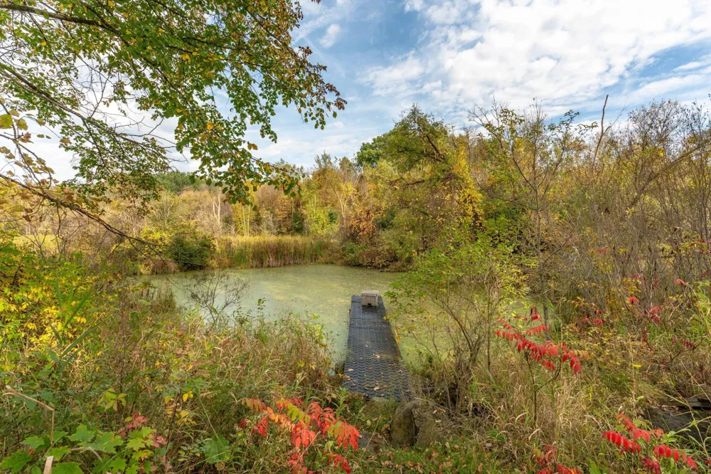 33003 County Hwy 27 Erhard, MN 56534