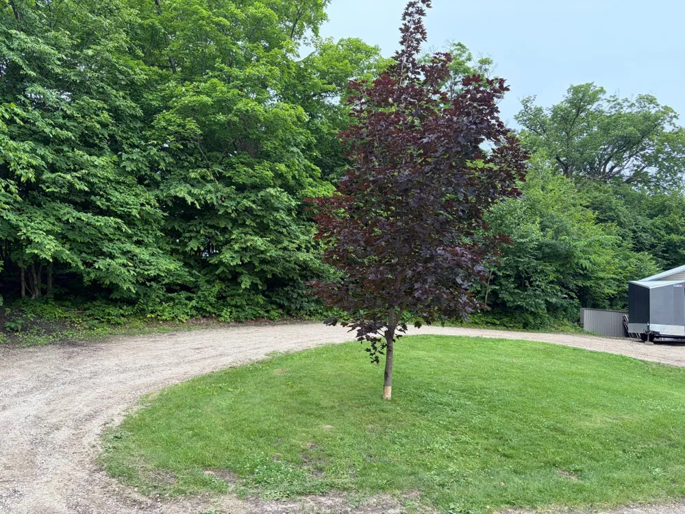 33003 County Hwy 27 Erhard, MN 56534