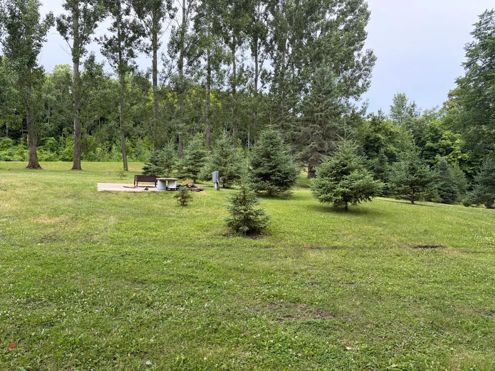 33003 County Hwy 27 Erhard, MN 56534