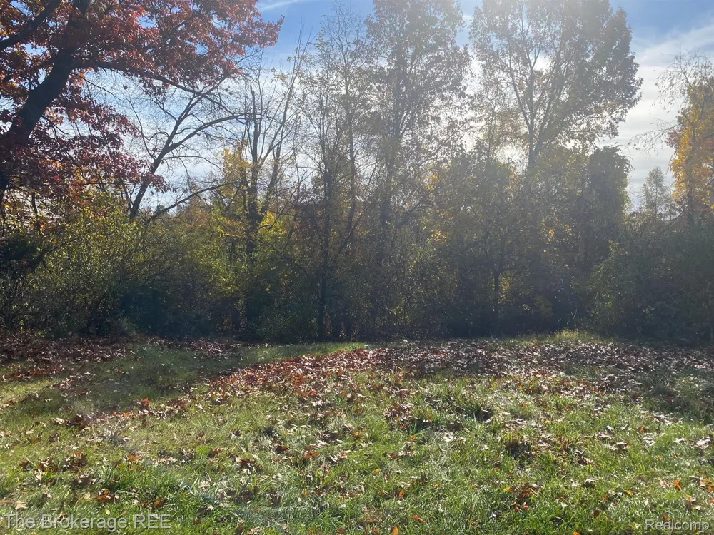 9035 HURON BLUFFS DRIVE White Lake Charter Township, MI 48386