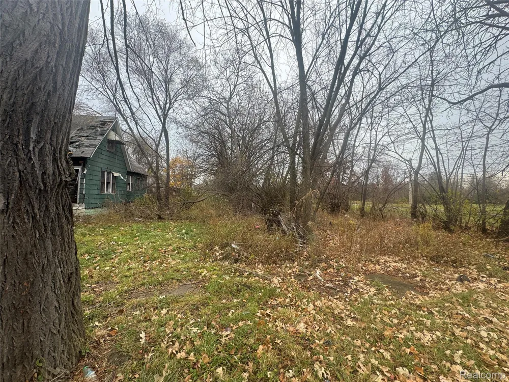 4226 18TH STREET Detroit City, MI 48208