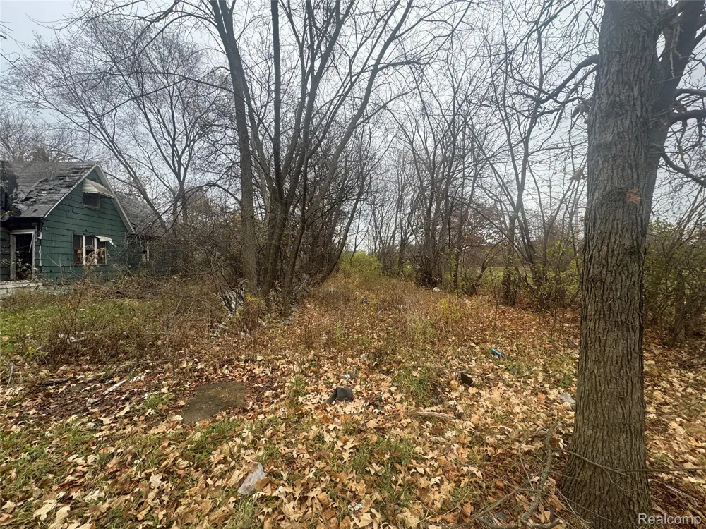 4226 18TH STREET Detroit City, MI 48208