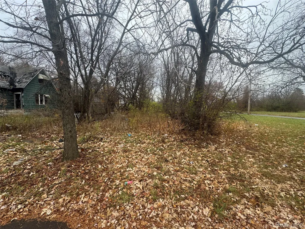 4226 18TH STREET Detroit City, MI 48208