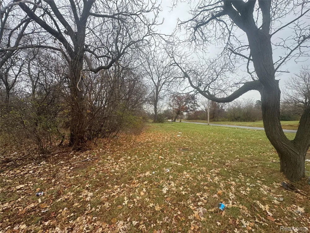 4226 18TH STREET Detroit City, MI 48208