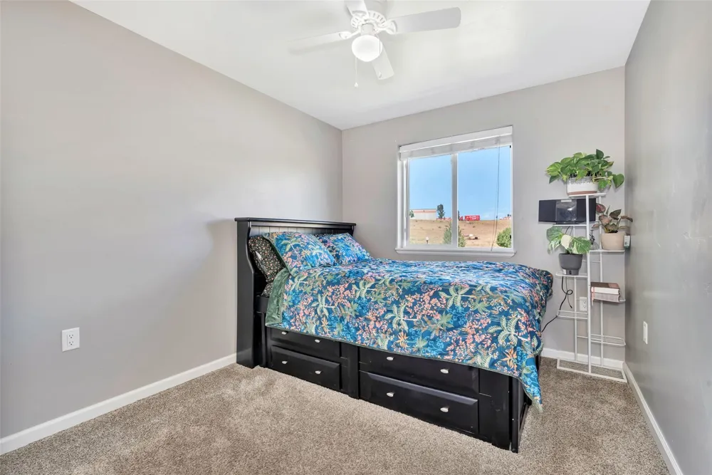 875 Dry Creek South Road Hayden, CO 81639