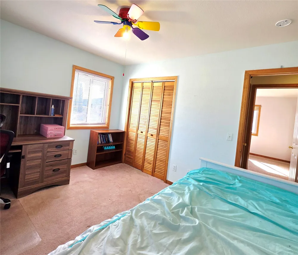 1692 CR-12 Alma, CO 80420