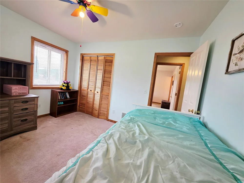 1692 CR-12 Alma, CO 80420