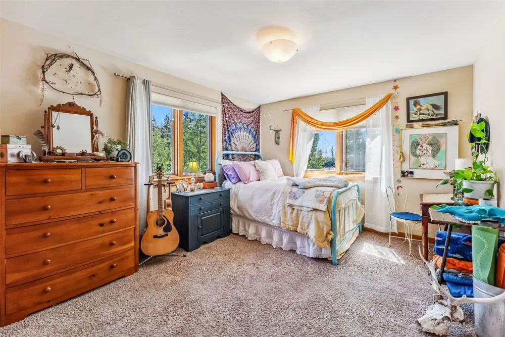 228 Glacier Ridge Road Alma, CO 80420