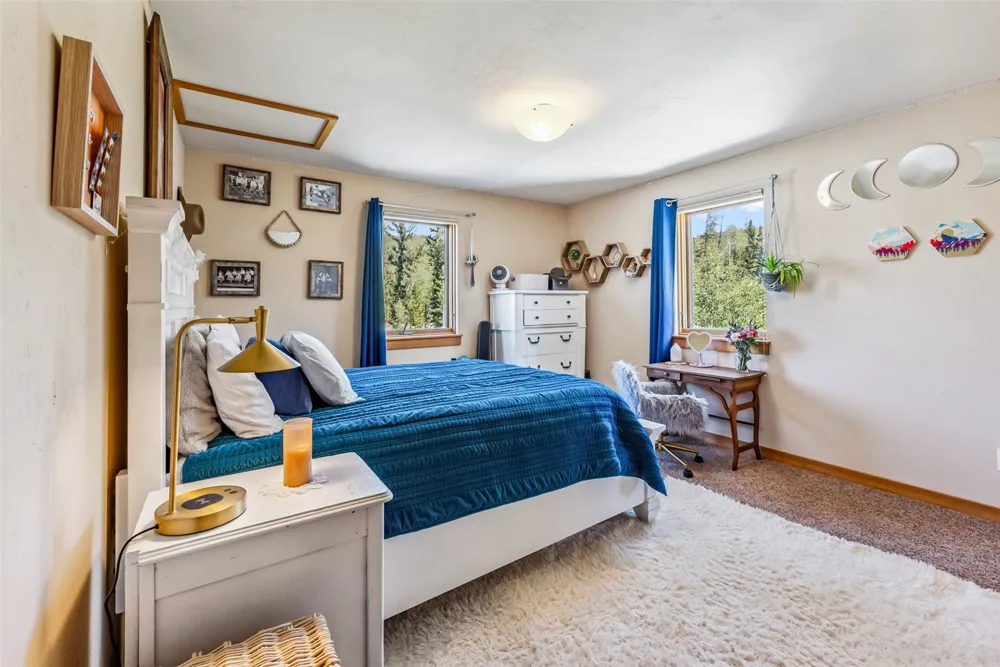 228 Glacier Ridge Road Alma, CO 80420