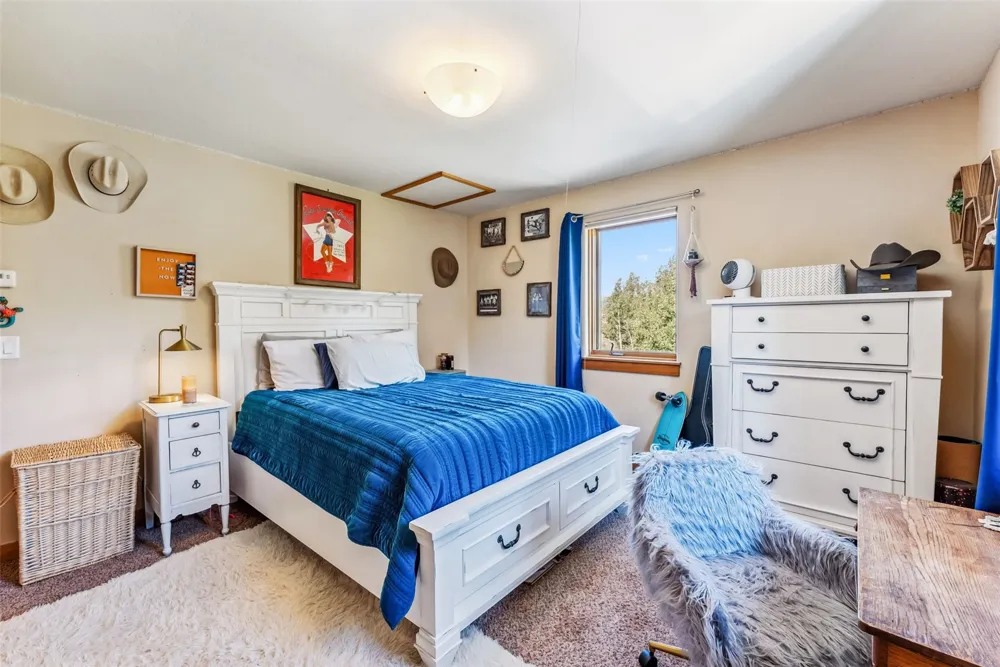 228 Glacier Ridge Road Alma, CO 80420