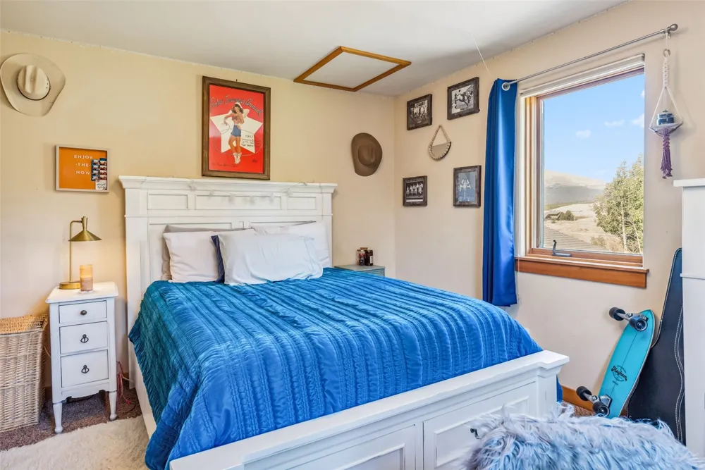 228 Glacier Ridge Road Alma, CO 80420
