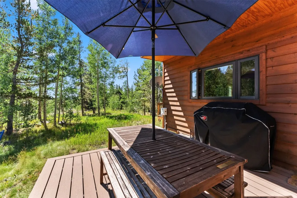 228 Glacier Ridge Road Alma, CO 80420