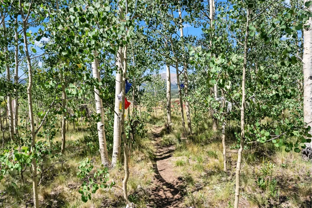 228 Glacier Ridge Road Alma, CO 80420