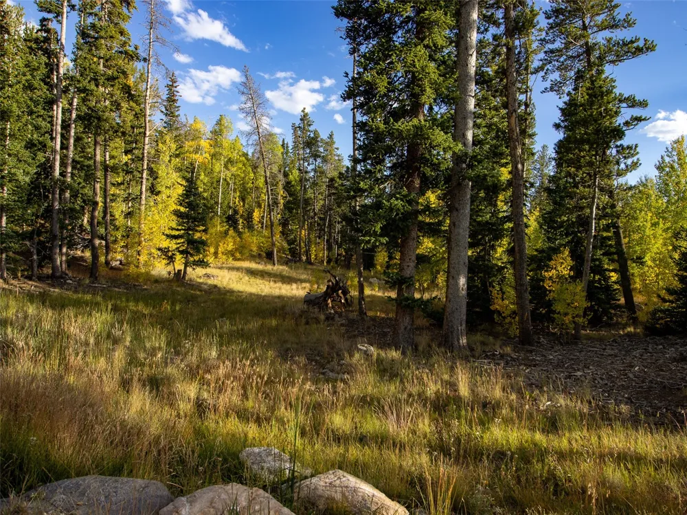228 Glacier Ridge Road Alma, CO 80420