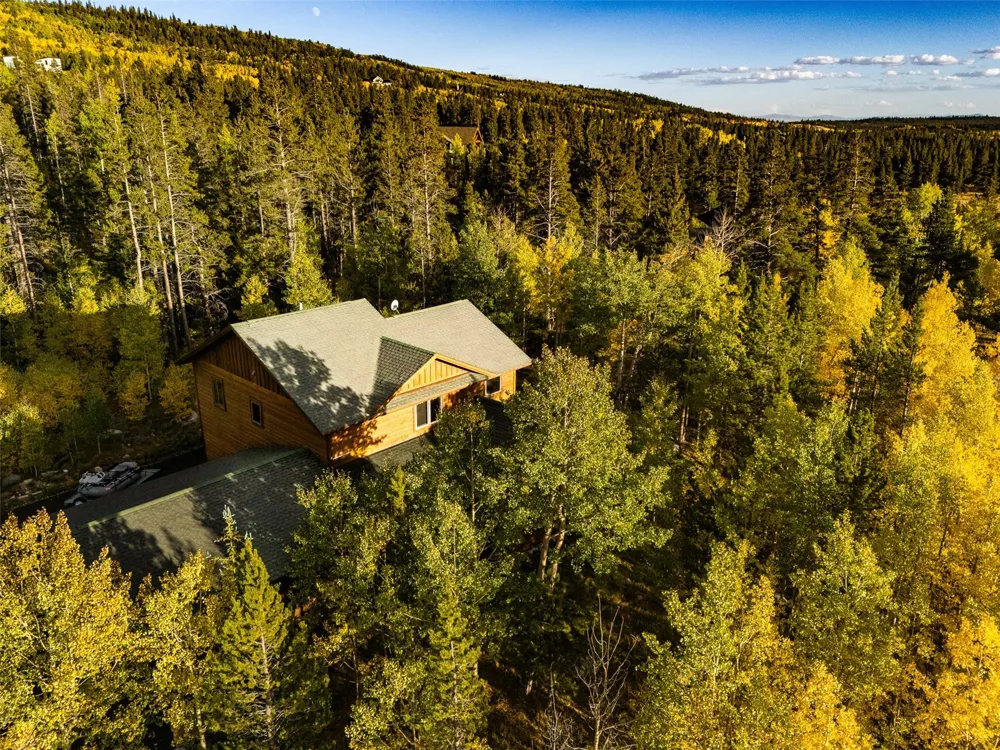 228 Glacier Ridge Road Alma, CO 80420