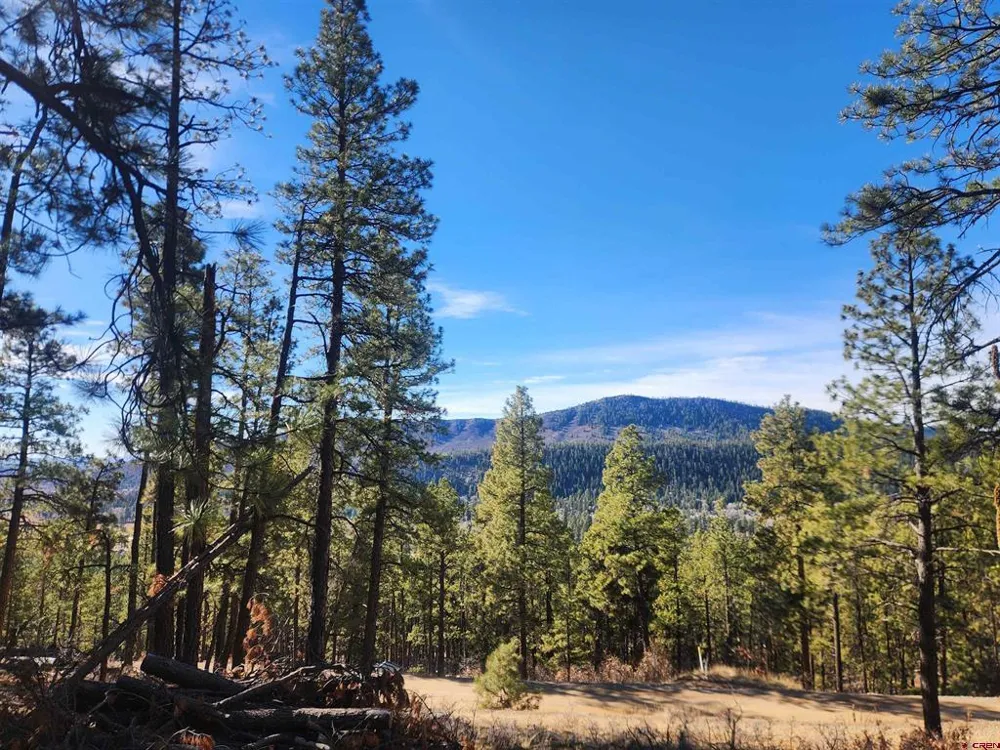 259 Deer Ridge Drive Bayfield, CO 81122