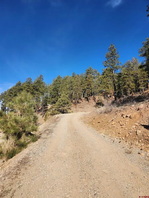 259 Deer Ridge Drive Bayfield, CO 81122