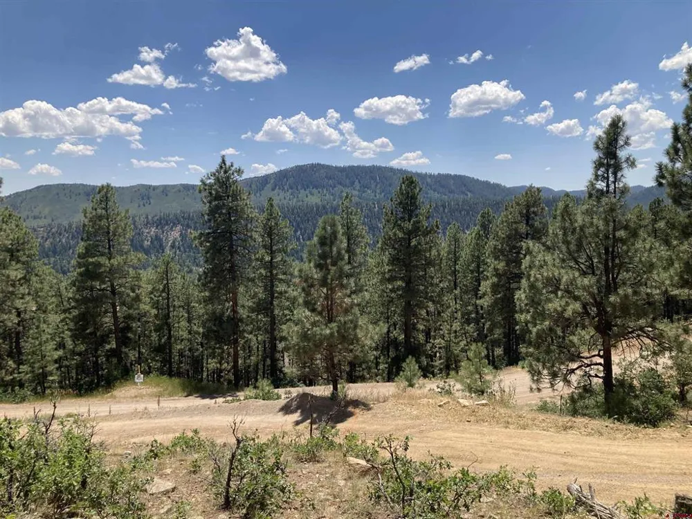 259 Deer Ridge Drive Bayfield, CO 81122