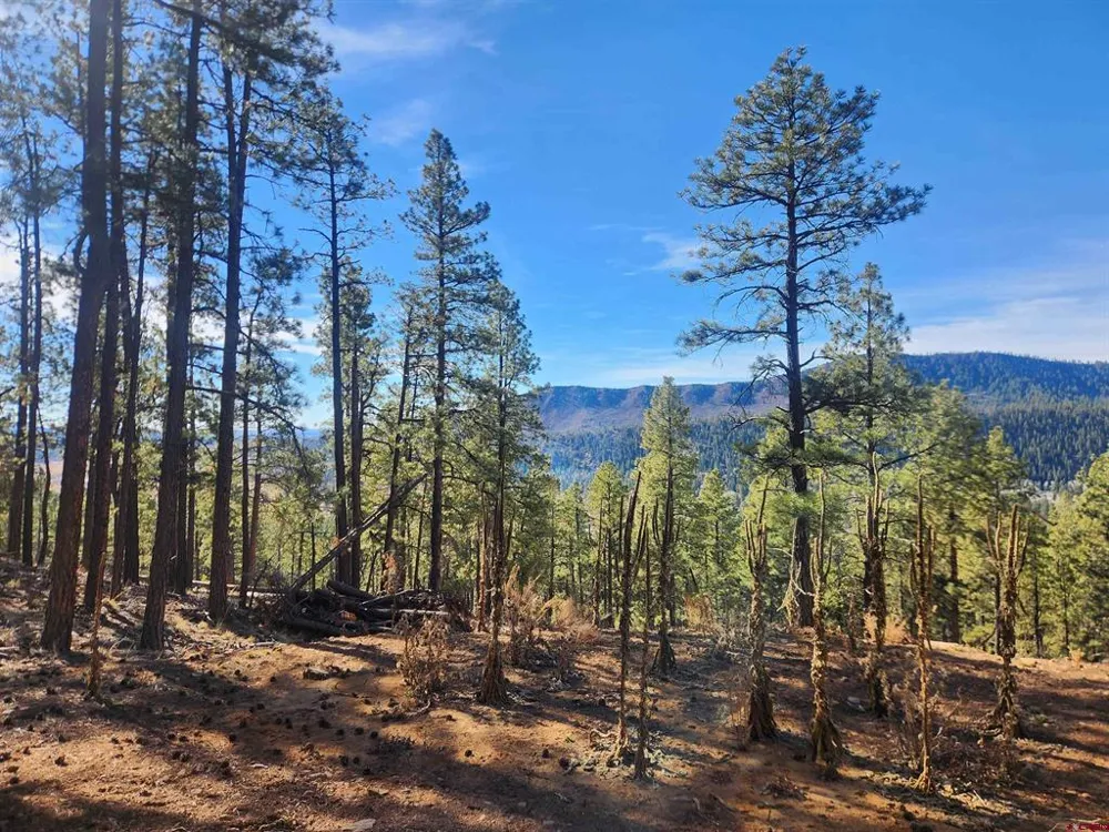259 Deer Ridge Drive Bayfield, CO 81122