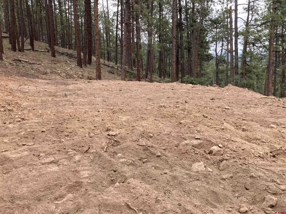259 Deer Ridge Drive Bayfield, CO 81122