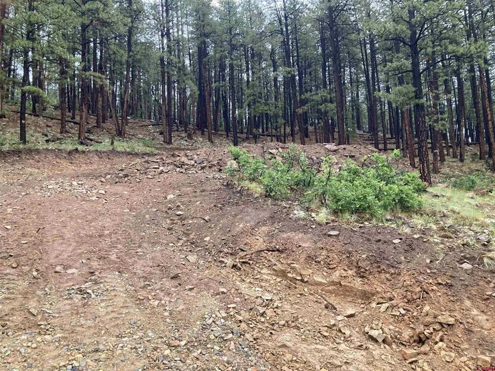 259 Deer Ridge Drive Bayfield, CO 81122