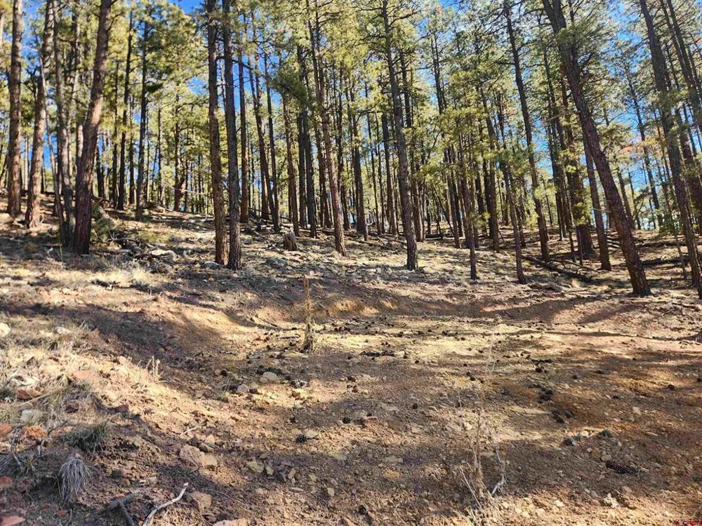 259 Deer Ridge Drive Bayfield, CO 81122