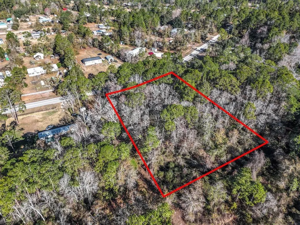 2223 COSMOS AVENUE Middleburg, FL 32068