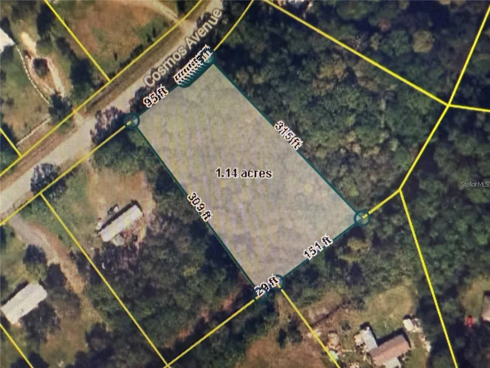 2223 COSMOS AVENUE Middleburg, FL 32068