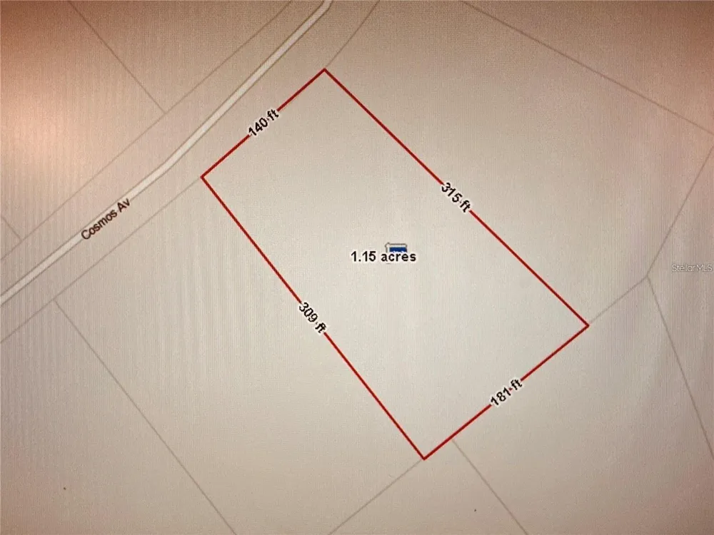 2223 COSMOS AVENUE Middleburg, FL 32068