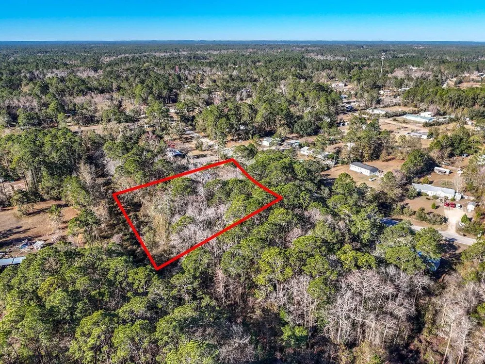 2223 COSMOS AVENUE Middleburg, FL 32068