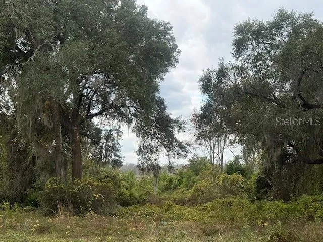 SE 175TH TERRACE Silver Springs, FL 34488