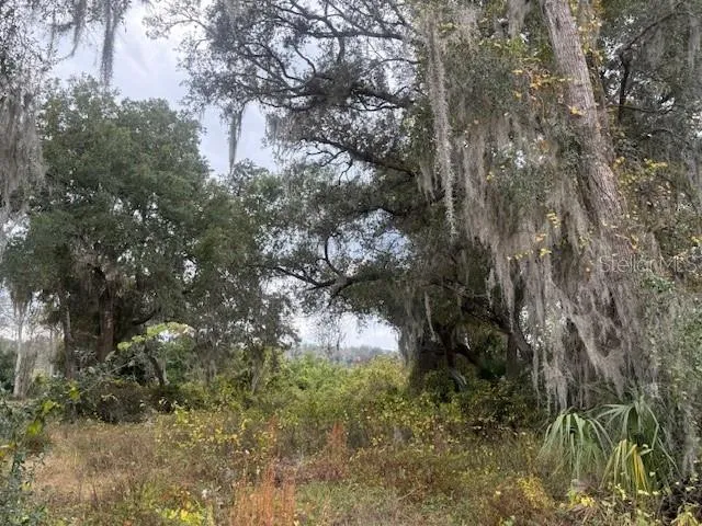 SE 175TH TERRACE Silver Springs, FL 34488