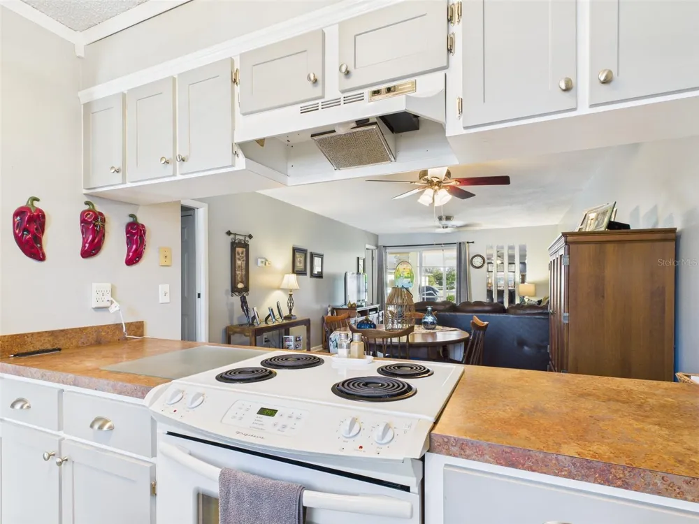 4529 MERCADO DRIVE Sebring, FL 33872