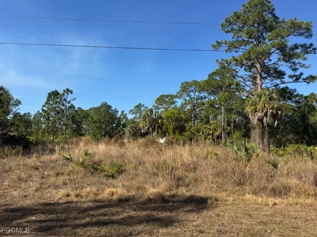 Moore Avenue Alva, FL 33920
