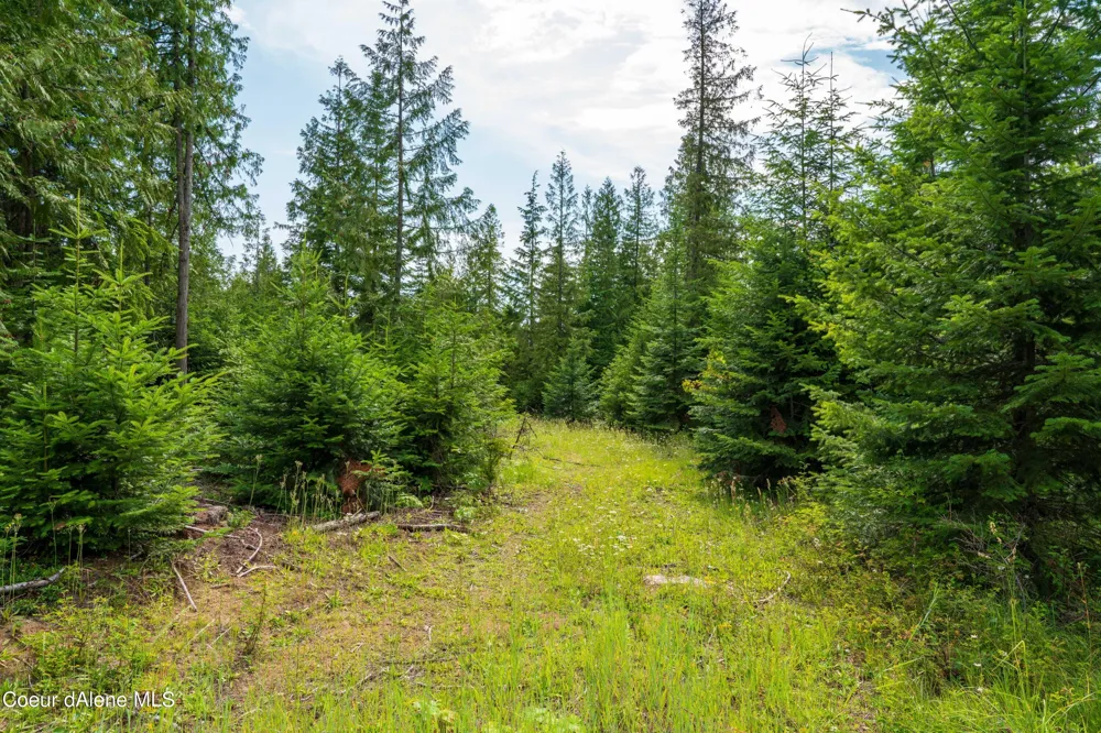 NKA Meadow Creek Road Bonners Ferry, ID 83805