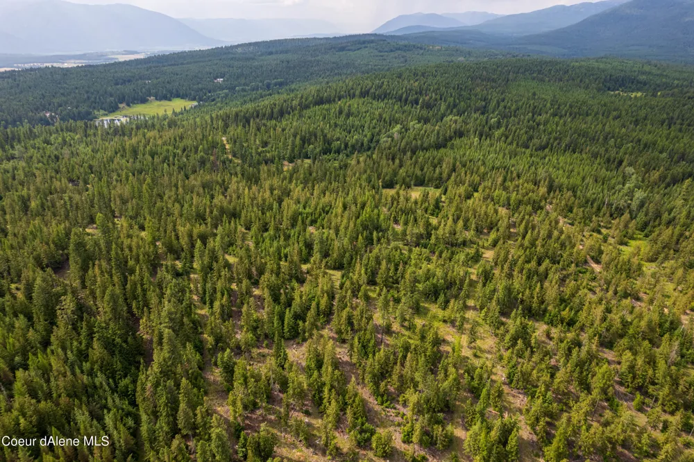 NKA Meadow Creek Road Bonners Ferry, ID 83805