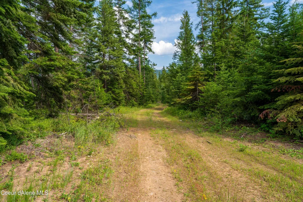 NKA Meadow Creek Road Bonners Ferry, ID 83805